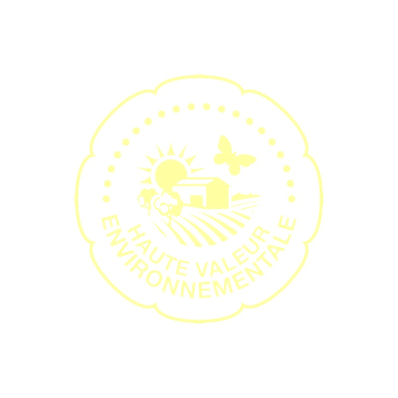 Château CALON SEGUR 2018