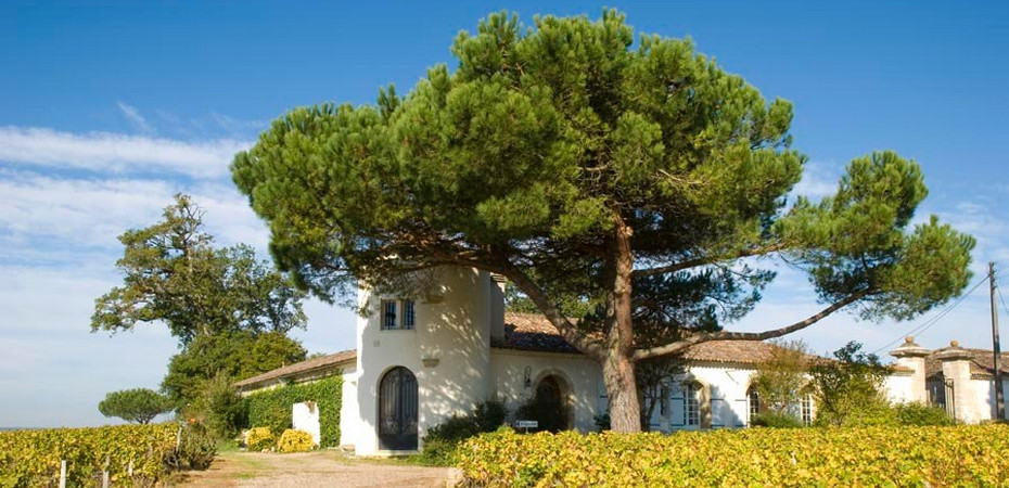 Château LAMOTHE