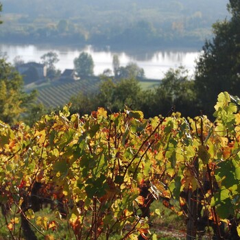 🌿 Un grand vin commence toujours par un terroir.

Graves, argiles, sables, sols calcaires… Chaque parcelle apporte sa propre expression au vin.

Notre rôle est de vous permettre de découvrir cette diversité à travers une sélection de propriétés et d’appellations qui racontent chacune une histoire différente.

Le terroir donne le caractère. Le savoir-faire révèle son expression. 🍷

www.jean-merlaut.com

#jeanmerlaut #terroir #terroirsdebordeaux #bordeauxwine #vinsdebordeaux #grandsvins #savoirfaire #winelovers #baurech #bordeaux 

𝘓’𝘢𝘣𝘶𝘴 𝘥’𝘢𝘭𝘤𝘰𝘰𝘭 𝘦𝘴𝘵 𝘥𝘢𝘯𝘨𝘦𝘳𝘦𝘶𝘹 𝘱𝘰𝘶𝘳 𝘭𝘢 𝘴𝘢𝘯𝘵𝘦́, 𝘢̀ 𝘤𝘰𝘯𝘴𝘰𝘮𝘮𝘦𝘳 𝘢𝘷𝘦𝘤 𝘮𝘰𝘥𝘦́𝘳𝘢𝘵𝘪𝘰𝘯.