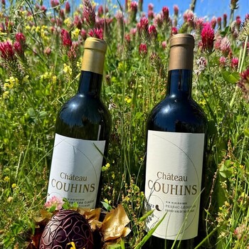 🐣 𝗖𝗵𝗮̂𝘁𝗲𝗮𝘂 𝗖𝗼𝘂𝗵𝗶𝗻𝘀 𝗿𝗼𝘂𝗴𝗲, 𝗔𝗽𝗽𝗲𝗹𝗹𝗮𝘁𝗶𝗼𝗻 𝗣𝗲𝘀𝘀𝗮𝗰-𝗟𝗲́𝗼𝗴𝗻𝗮𝗻. 
Ce Pessac-Léognan séduit par sa structure élégante, ses tanins soyeux et ses arômes de fruits noirs, délicatement relevés de notes épicées et légèrement toastées.
Une belle harmonie qui vient accompagner avec finesse l’intensité d’un chocolat noir, en révélant toute la richesse des notes cacaotées.
Un accord audacieux et gourmand, idéal pour revisiter les plaisirs de Pâques avec caractère.

✨ À découvrir sur notre site Internet sécurisé 👉 https://jean-merlaut.com/recherche?controller=search&s=couhins+rouge

📸 • @chateaucouhins 

#JeanMerlaut #GrandVin #vinrouge #bordeauxwine #Jeanmerlautmoment #winelovers #bordeauxwines #jeanmerlautmoments #grandscrus #jeanmerlautteam #bordeauxlovers #vinsdebordeaux #grandscrusbordeaux #wineoclock #JeanMerlaut #AccordMetsVins #PâquesGourmand #GrandsVins #Bordeaux #jeanmerlautviticulteurabaurech #jeanmerlautexperts #baurech #winetime #jeanmerlautvins #jeanmerlautselection #pâques #couhins #châteaucouhins

𝘓’𝘢𝘣𝘶𝘴 𝘥’𝘢𝘭𝘤𝘰𝘰𝘭 𝘦𝘴𝘵 𝘥𝘢𝘯𝘨𝘦𝘳𝘦𝘶𝘹 𝘱𝘰𝘶𝘳 𝘭𝘢 𝘴𝘢𝘯𝘵𝘦́, 𝘢̀ 𝘤𝘰𝘯𝘴𝘰𝘮𝘮𝘦𝘳 𝘢𝘷𝘦𝘤 𝘮𝘰𝘥𝘦́𝘳𝘢𝘵𝘪𝘰𝘯.