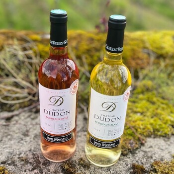 Êtes-vous plutôt Blanc ou Rosé ? Profitez de notre sélection de Blancs et de Rosés pour accompagner vos moments ensoleillés !☀️

Cette saison, laissez-vous séduire par :

🍷 Château Dudon Blanc 2024
Un vin frais et fruité, idéal à l’apéritif ou pour accompagner fruits de mer et poissons.

🌸 Château Dudon Rosé 2024
Un rosé gourmand et rafraîchissant, parfait pour vos déjeuners en terrasse et soirées d’été entre amis.

✨ Deux cuvées incontournables à découvrir dès maintenant sur 👉 https://jean-merlaut.com/

#chateaududon #vinblanc #vinrose #bordeauxwine #jeanmerlautmoment #winelovers #bordeauxwines #jeanmerlaut #jeanmerlautmoments #grandscrus #jeanmerlautteam #terroir #bordeauxlovers #vinsdebordeaux #grandscrusbordeaux #wineoclock #bordeaux #jeanmerlautviticulteurabaurech #jeanmerlautexperts #baurech #winewinewine #winetime #negociant

𝘓’𝘢𝘣𝘶𝘴 𝘥’𝘢𝘭𝘤𝘰𝘰𝘭 𝘦𝘴𝘵 𝘥𝘢𝘯𝘨𝘦𝘳𝘦𝘶𝘹 𝘱𝘰𝘶𝘳 𝘭𝘢 𝘴𝘢𝘯𝘵𝘦́, 𝘢̀ 𝘤𝘰𝘯𝘴𝘰𝘮𝘮𝘦𝘳 𝘢𝘷𝘦𝘤 𝘮𝘰𝘥𝘦́𝘳𝘢𝘵𝘪𝘰𝘯.