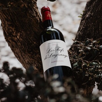 ❤ Les Fiefs de Lagrange 2022, rouge Appellation Saint-Julien | L’élégance d’un grand Saint-Julien

Second vin du prestigieux Château Lagrange, Grand Cru Classé de 1855, Les Fiefs de Lagrange 2022 exprime toute la finesse et l’équilibre des grands terroirs de Saint-Julien.
Gourmand et élégant, ce millésime dévoile de belles notes de fruits rouges mûrs, de cassis et d’épices, accompagnées d’une bouche soyeuse aux tanins harmonieux. 
🍷 Généreux, déjà très agréable à déguster, qui pourra également évoluer avec quelques années de garde.

🛒 jean-merlaut.com

#jeanmerlaut #lesfiefsdelagrange #chateaulagrange #saintjulien #bordeauxwine #grandcruclasse #vinrouge #vinsdebordeaux #winelovers #jeanmerlautselection #bordeaux

📸 • @chateau.lagrange 
 
𝘓’𝘢𝘣𝘶𝘴 𝘥’𝘢𝘭𝘤𝘰𝘰𝘭 𝘦𝘴𝘵 𝘥𝘢𝘯𝘨𝘦𝘳𝘦𝘶𝘹 𝘱𝘰𝘶𝘳 𝘭𝘢 𝘴𝘢𝘯𝘵𝘦́, 𝘢̀ 𝘤𝘰𝘯𝘴𝘰𝘮𝘮𝘦𝘳 𝘢𝘷𝘦𝘤 𝘮𝘰𝘥𝘦́𝘳𝘢𝘵𝘪𝘰𝘯.