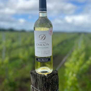🤍 Château Dudon Blanc 2024, une référence plébiscitée par nos clients ✨

" Le nez est expressif, ciselé et dominé par une belle fraîcheur citronnée. Il dévoile des arômes précis d’agrumes et de fruits verts : citron jaune, jus de citron vert, pamplemousse, pomme verte et prune croquante."

Déjà très apprécié, il fait partie des millésimes les mieux notés par nos clients, confirmant son excellent rapport plaisir/prix !

✨ À découvrir sur notre site internet ici 👉 https://jean-merlaut.com/fin-de-lots/4256-chateau-dudon-blanc-2024.html

#jeanmerlautmoment #winelovers #bordeauxwines #jeanmerlaut #jeanmerlautmoments #grandscrus #jeanmerlautteam #terroir #bordeauxlovers
#vinsdebordeaux #grandscrusbordeaux #wineoclock #bordeaux #jeanmerlautviticulteurabaurech #jeanmerlautexperts #baurech #winewinewine
#winetime #negociant #jeanmerlautvins #jeanmerlautselection #grandcruclassé #dudon #chateaududon #dudonblanc #chateaududonblanc #dudonblanc2024 #chateaududon2024 

𝘓’𝘢𝘣𝘶𝘴 𝘥’𝘢𝘭𝘤𝘰𝘰𝘭 𝘦𝘴𝘵 𝘥𝘢𝘯𝘨𝘦𝘳𝘦𝘶𝘹 𝘱𝘰𝘶𝘳 𝘭𝘢 𝘴𝘢𝘯𝘵𝘦́, 𝘢̀ 𝘤𝘰𝘯𝘴𝘰𝘮𝘮𝘦𝘳 𝘢𝘷𝘦𝘤 𝘮𝘰𝘥𝘦́𝘳𝘢𝘵𝘪𝘰𝘯.