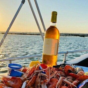 ☀️ SOLDES D'ETE [ Château Suduiraut 2005 : offrez-vous un grand Sauternes à un tarif exceptionnel !

Millésime d'exception, ce Sauternes dévoile une remarquable complexité aromatique, mêlant fruits confits, miel, abricot et délicates notes épicées.
Un vin d'une grande élégance, idéal pour accompagner un plateau de fruits de mer  ou  un dessert aux fruits.

📦 La caisse bois de 12 bouteilles à 600 € TTC au lieu de 720 € TTC soit -16 % 💥
✨ Retrouvez cette offre et toute notre sélection de grands vins sur notre site Internet sécurisé 👉 https://jean-merlaut.com
⏳ Offre valable jusqu'au 21 juillet, dans la limite des stocks disponibles.

#jeanmerlaut #soldes #chateausuduiraut #sauternes #vinliquoreux #grandsvins #bordeauxwine #winelovers #vinsdebordeaux #jeanmerlautselection #bonsplansvin  #soldesdete #soldesdété #jeanmerlautmoments 

𝘓’𝘢𝘣𝘶𝘴 𝘥’𝘢𝘭𝘤𝘰𝘰𝘭 𝘦𝘴𝘵 𝘥𝘢𝘯𝘨𝘦𝘳𝘦𝘶𝘹 𝘱𝘰𝘶𝘳 𝘭𝘢 𝘴𝘢𝘯𝘵𝘦́, 𝘢̀ 𝘤𝘰𝘯𝘴𝘰𝘮𝘮𝘦𝘳 𝘢𝘷𝘦𝘤 𝘮𝘰𝘥𝘦́𝘳𝘢𝘵𝘪𝘰𝘯.