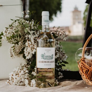 Quand la chaleur invite à ralentir... 🍷 Les Arums de Lagrange 2023, Bordeaux Blanc

Ce blanc séduit par son éclat aromatique et sa belle fraîcheur, avec des notes d’agrumes, de fruits exotiques et de fleurs blanches. Une bouche vive et équilibrée, idéale pour accompagner poissons, fruits de mer ou apéritifs en terrasse ☀️
Un vin raffiné et accessible, parfait pour les beaux jours et les moments de convivialité.
✨ À découvrir dès maintenant sur notre site internet sécurisé 👉 jean-merlaut.com

📸 •@chateaulagrange 

#jeanmerlaut #jeanmerlautselection #jeanmerlautvins #foireauxvins #fav #jeanmerlautmoment #winelovers #bordeauxwines #jeanmerlaut #jeanmerlautmoments #grandscrus #jeanmerlautteam #terroir #bordeauxlovers #vinsdebordeaux #grandscrusbordeaux #wineoclock #bordeaux #jeanmerlautviticulteurabaurech #jeanmerlautexperts #baurech #winewinewine #winetime #negociant #promotion #offrespeciale #chateaulagrange #bordeauxblanc

𝘓’𝘢𝘣𝘶𝘴 𝘥’𝘢𝘭𝘤𝘰𝘰𝘭 𝘦𝘴𝘵 𝘥𝘢𝘯𝘨𝘦𝘳𝘦𝘶𝘹 𝘱𝘰𝘶𝘳 𝘭𝘢 𝘴𝘢𝘯𝘵𝘦́, 𝘢̀ 𝘤𝘰𝘯𝘴𝘰𝘮𝘮𝘦𝘳 𝘢𝘷𝘦𝘤 𝘮𝘰𝘥𝘦́𝘳𝘢𝘵𝘪𝘰𝘯.