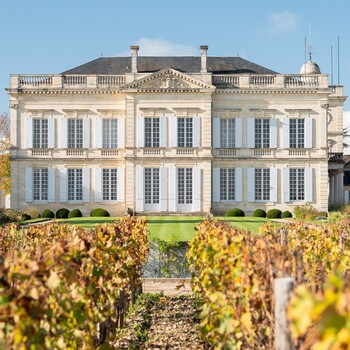 🍇 Saint-Émilion, Margaux, Pauillac, Saint-Julien, Pessac-Léognan, Sauternes…

Des appellations, des terroirs et des styles qui racontent chacun une facette de Bordeaux.

La richesse de notre sélection repose sur cette diversité : des grands crus classés aux propriétés plus confidentielles, nous parcourons le vignoble à la recherche de vins qui méritent votre attention.

Une même passion : vous faire découvrir Bordeaux dans toute sa richesse. 🍷

📸 • Château Gruaud Larose 

#jeanmerlaut #bordeaux #terroirs #saintemilion #margaux #pauillac #saintjulien #pessacleognan #sauternes #bordeauxwine #grandsvins