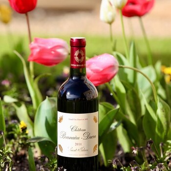 🌸 Château Branaire-Ducru 2018 rouge, Appellation Saint-Julien, l’esprit de Pâques s’invite à votre table

À l’approche des fêtes de Pâques, les grandes tables s’organisent et les accords mets & vins se dessinent avec soin. Pour sublimer un agneau pascal, des légumes de saison rôtis ou une cuisine raffinée de printemps, nous vous suggérons ce Grand Cru Classé de Saint-Julien avec un  millésime qui séduit par son équilibre remarquable, ses tanins soyeux et ses arômes profonds de fruits noirs délicatement épicés. Une structure élégante et une finale persistante.

🍷 Un vin de caractère, à partager en famille autour d’un repas d’exception.

🛍 Achetez votre caisse bois de 6 bouteilles sur notre site Internet sécurisé 👉 https://jean-merlaut.com/catalogue-des-vins/2327-chateau-branaire-ducru-2018.html

📸 •  @chateaubranaireducru (photo retouchée)
 
#JeanMerlaut #SaintJulien #ChâteauBranaireDucru #Pâques #GrandVin #SélectionPremium  #vinrouge #bordeauxwine #bonsplansvin #Jeanmerlautmoment #winelovers #bordeauxwines #jeanmerlaut #jeanmerlautmoments #grandscrus #jeanmerlautteam #bordeauxlovers #vinsdebordeaux #grandscrusbordeaux #wineoclock #jeanmerlautviticulteurabaurech #jeanmerlautexperts #baurech #winetime #negociant #jeanmerlautvins #jeanmerlautselection #grandsvins

𝘓’𝘢𝘣𝘶𝘴 𝘥’𝘢𝘭𝘤𝘰𝘰𝘭 𝘦𝘴𝘵 𝘥𝘢𝘯𝘨𝘦𝘳𝘦𝘶𝘹 𝘱𝘰𝘶𝘳 𝘭𝘢 𝘴𝘢𝘯𝘵𝘦́, 𝘢̀ 𝘤𝘰𝘯𝘴𝘰𝘮𝘮𝘦𝘳 𝘢𝘷𝘦𝘤 𝘮𝘰𝘥𝘦́𝘳𝘢𝘵𝘪𝘰𝘯