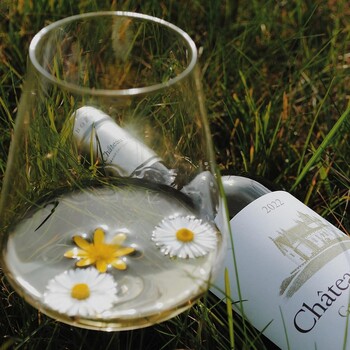 🤍 Château Olivier Blanc 2022, Appellation Pessac-Léognan 
Un vin raffiné aux notes d’agrumes, de fleurs blanches et de fruits exotiques, porté par une belle fraîcheur et une remarquable précision.
Le compagnon idéal des fruits de mer, poissons et instants gourmands de la saison ! 

🌼 Découvrez-le dès maintenant dès maintenant sur notre site Internet sécurisé 👉 jean-merlaut.com

#jeanmerlaut #jeanmerlautselection #jeanmerlautvins #foireauxvins #fav #jeanmerlautmoment #winelovers #bordeauxwines #jeanmerlaut #jeanmerlautmoments #grandscrus #jeanmerlautteam #terroir #bordeauxlovers #vinsdebordeaux #grandscrusbordeaux #wineoclock #bordeaux #jeanmerlautviticulteurabaurech #jeanmerlautexperts #baurech #pessacleognan #winetime #negociant #châteauolivier2022 #chateauolivier #chateauolivier2022

𝘓’𝘢𝘣𝘶𝘴 𝘥’𝘢𝘭𝘤𝘰𝘰𝘭 𝘦𝘴𝘵 𝘥𝘢𝘯𝘨𝘦𝘳𝘦𝘶𝘹 𝘱𝘰𝘶𝘳 𝘭𝘢 𝘴𝘢𝘯𝘵𝘦́, 𝘢̀ 𝘤𝘰𝘯𝘴𝘰𝘮𝘮𝘦𝘳 𝘢𝘷𝘦𝘤 𝘮𝘰𝘥𝘦́𝘳𝘢𝘵𝘪𝘰𝘯.