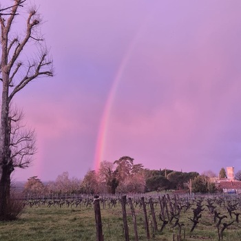 🌈 sur le vignoble de Château Dudon… 
#rainbow #overtherainbow #baurech #jeanmerlautmoments #bordeaux
