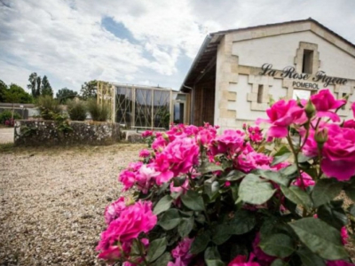 Château La Rose Figeac : découvrez ce grand vin de Pomerol