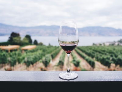 Quel est le vin le plus cher du monde ? Records, enchères et mythes