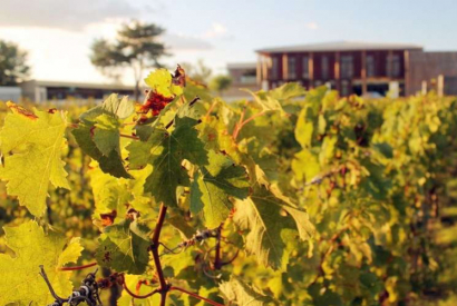 L’appellation Pessac-Léognan