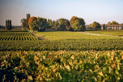 L’appellation Listrac-Médoc